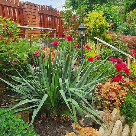 Julia Aparthotel Hévíz