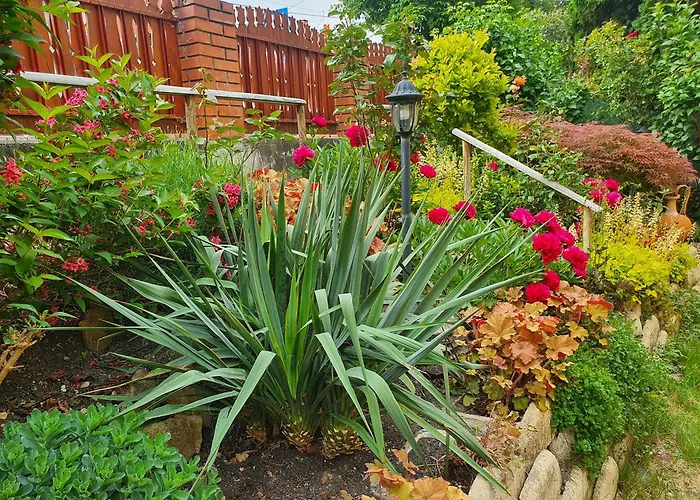 Julia Aparthotel Hévíz